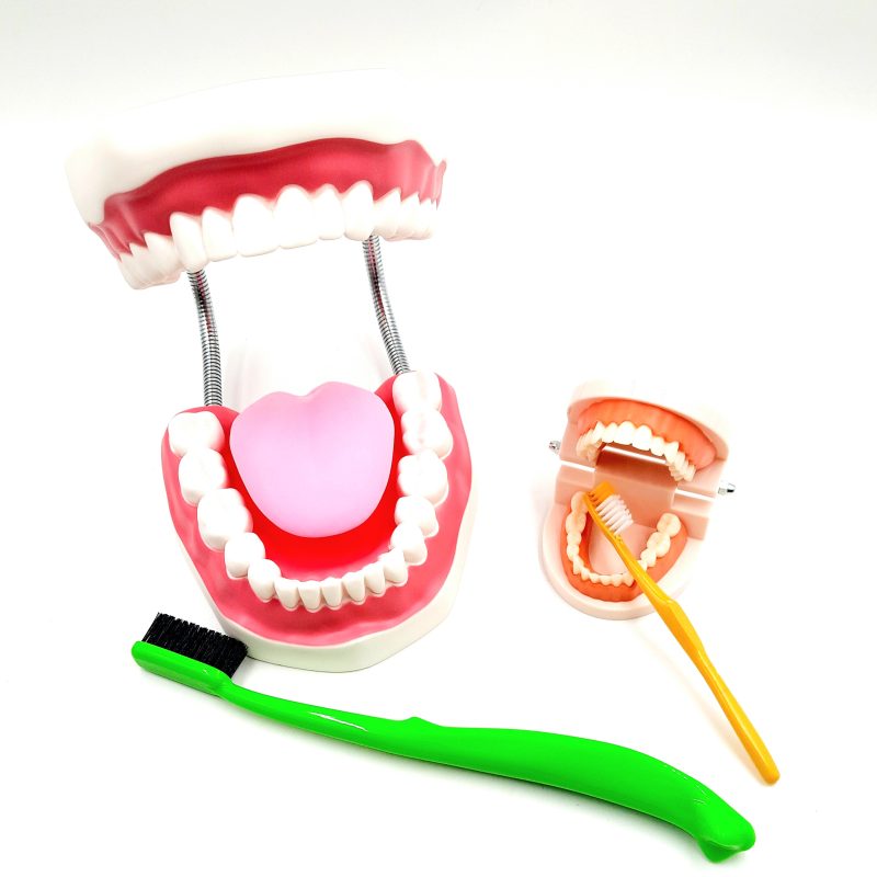 edukacja z naszym modelem to wspaniała zabawa